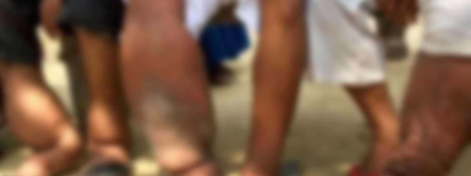 බරවා බෝ කරන පරපෝෂිතයෙක් පිළිබඳ අනතුරු අඟවයි